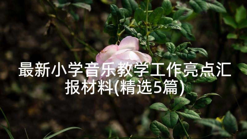 最新小学音乐教学工作亮点汇报材料(精选5篇)