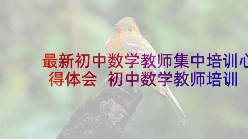 最新初中数学教师集中培训心得体会 初中数学教师培训心得体会(优秀5篇)