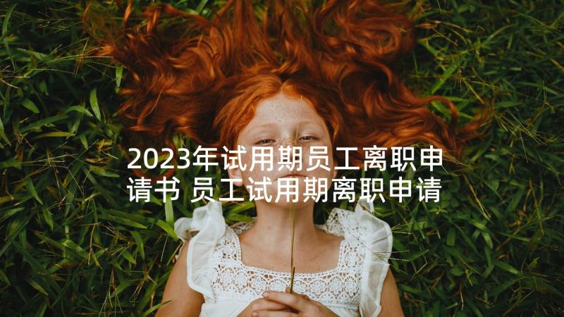 2023年试用期员工离职申请书 员工试用期离职申请书(优质6篇)