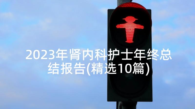 2023年肾内科护士年终总结报告(精选10篇)