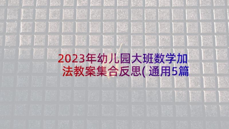 2023年幼儿园大班数学加法教案集合反思(通用5篇)