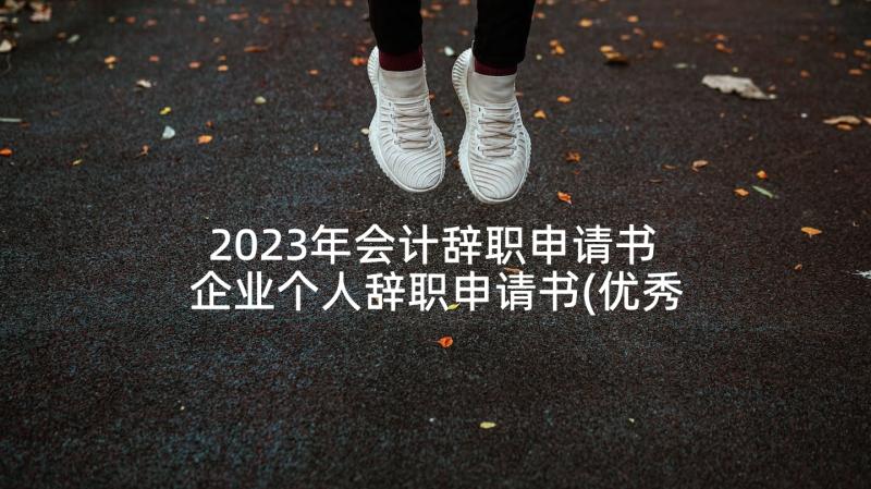 2023年会计辞职申请书 企业个人辞职申请书(优秀6篇)