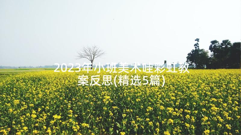 2023年小班美术哇彩虹教案反思(精选5篇)