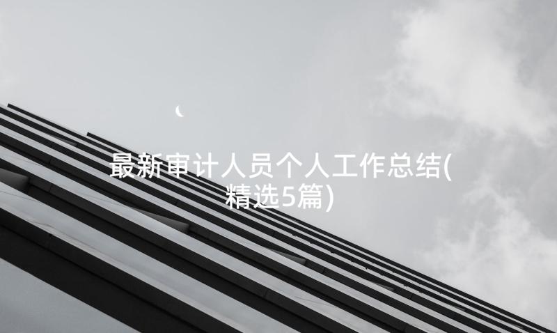 最新审计人员个人工作总结(精选5篇)