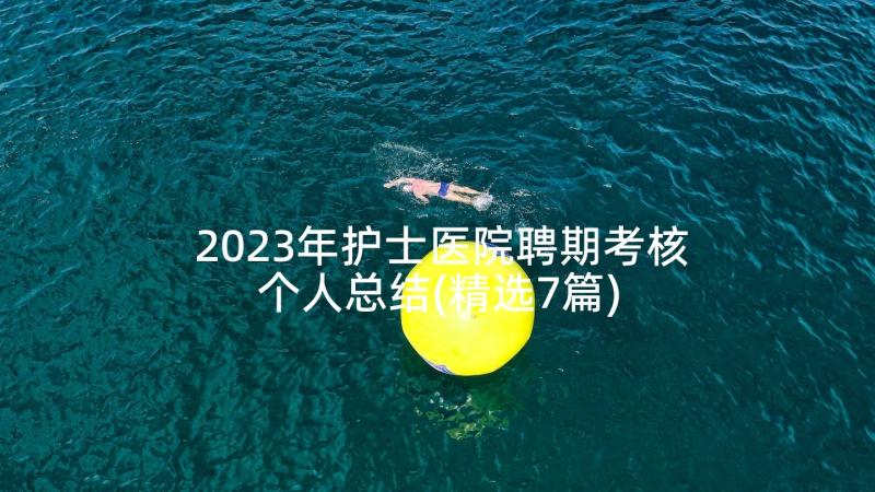 2023年护士医院聘期考核个人总结(精选7篇)