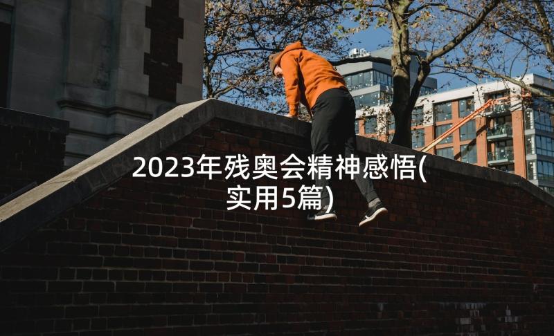 2023年残奥会精神感悟(实用5篇)