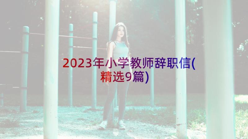 2023年小学教师辞职信(精选9篇)