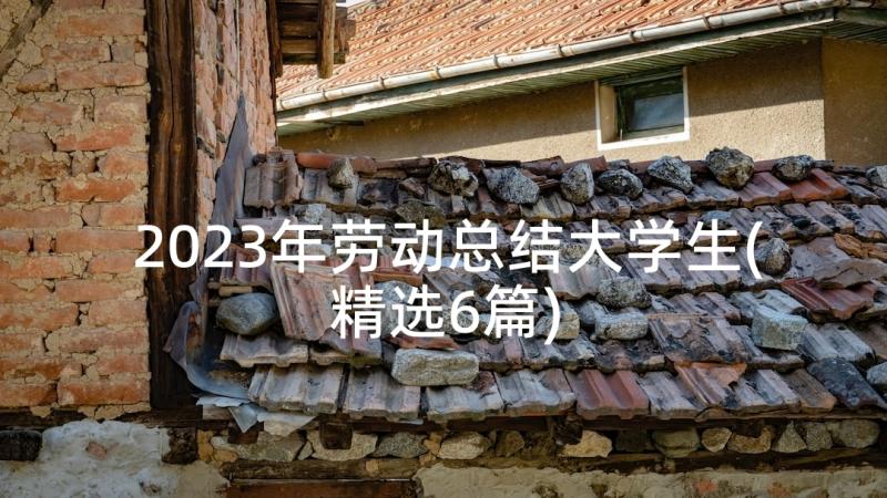 2023年劳动总结大学生(精选6篇)