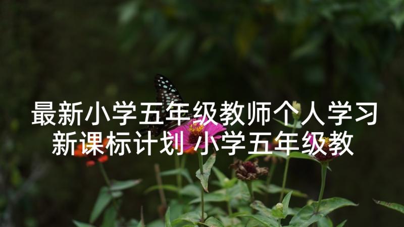 最新小学五年级教师个人学习新课标计划 小学五年级教师学年总结(汇总8篇)