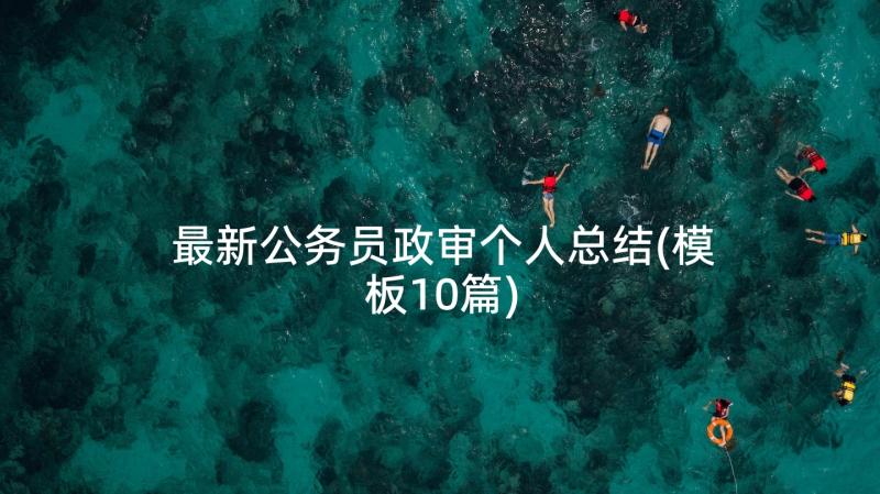 最新公务员政审个人总结(模板10篇)