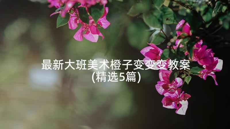 最新大班美术橙子变变变教案(精选5篇)