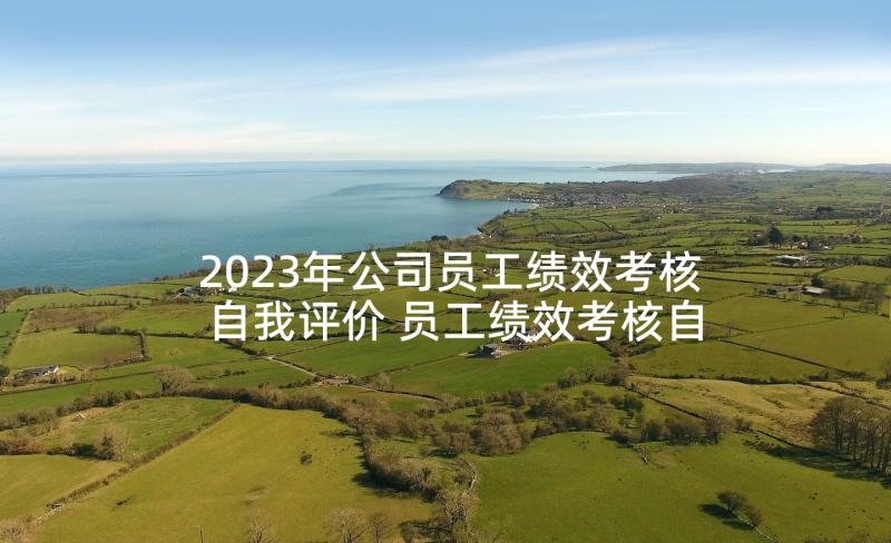 2023年公司员工绩效考核自我评价 员工绩效考核自我评价(优秀5篇)