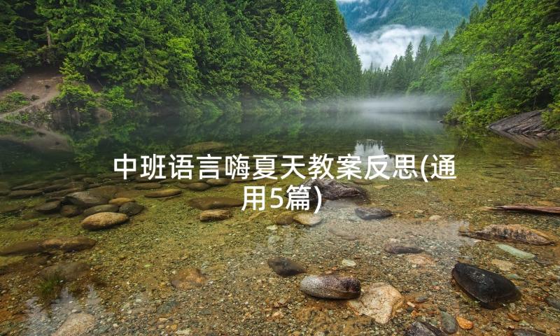 中班语言嗨夏天教案反思(通用5篇)