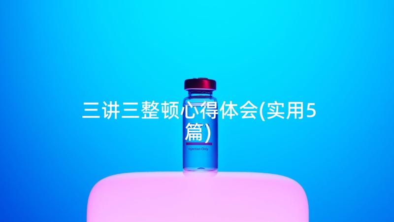 三讲三整顿心得体会(实用5篇)