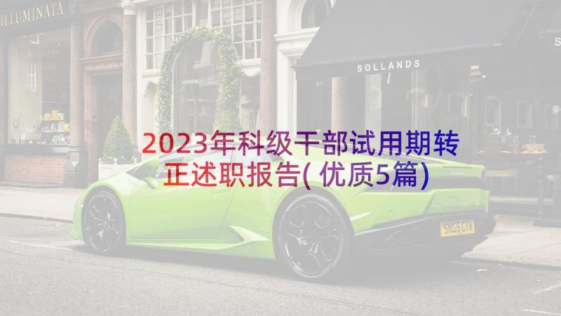 2023年科级干部试用期转正述职报告(优质5篇)