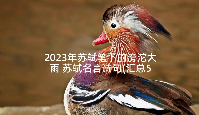 2023年苏轼笔下的滂沱大雨 苏轼名言诗句(汇总5篇)