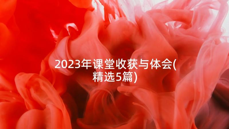 2023年课堂收获与体会(精选5篇)