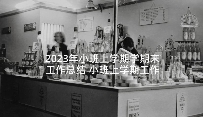 2023年小班上学期学期末工作总结 小班上学期工作总结(大全6篇)