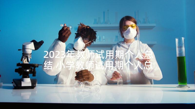 2023年教师试用期个人总结 小学教师试用期个人总结(通用8篇)