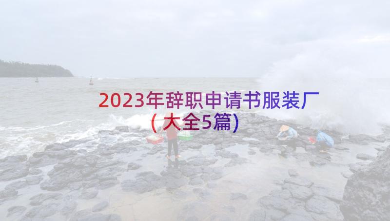 2023年辞职申请书服装厂(大全5篇)