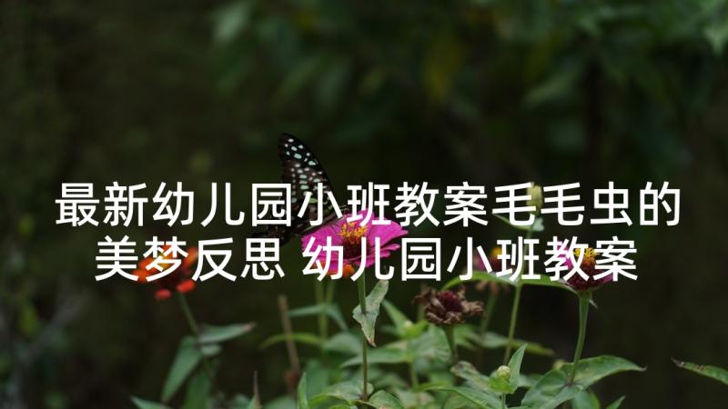 最新幼儿园小班教案毛毛虫的美梦反思 幼儿园小班教案毛毛虫含反思(优质5篇)