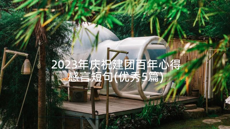 2023年庆祝建团百年心得感言短句(优秀5篇)