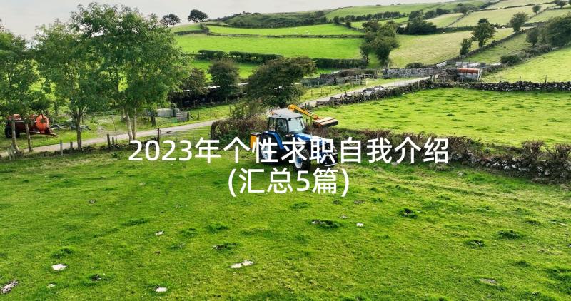 2023年个性求职自我介绍(汇总5篇)