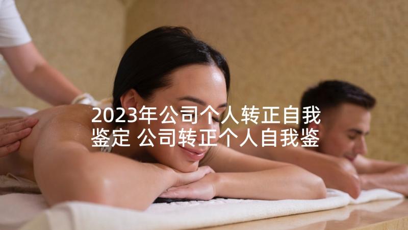 2023年公司个人转正自我鉴定 公司转正个人自我鉴定(实用9篇)