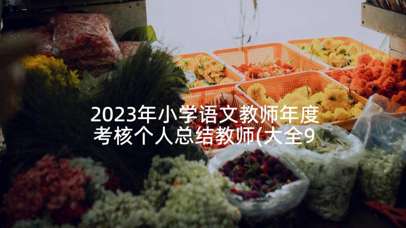 2023年小学语文教师年度考核个人总结教师(大全9篇)