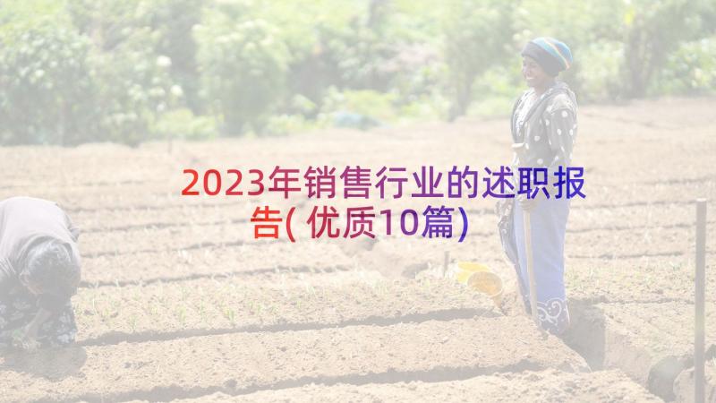 2023年销售行业的述职报告(优质10篇)