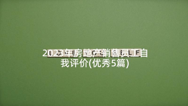 2023年房地产销售员工自我评价(优秀5篇)