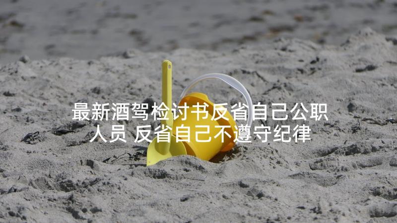 最新酒驾检讨书反省自己公职人员 反省自己不遵守纪律检讨书(实用6篇)