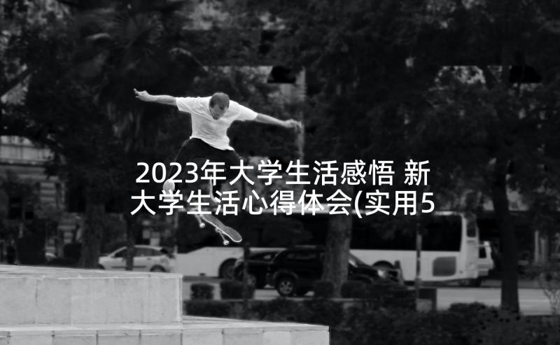 2023年大学生活感悟 新大学生活心得体会(实用5篇)