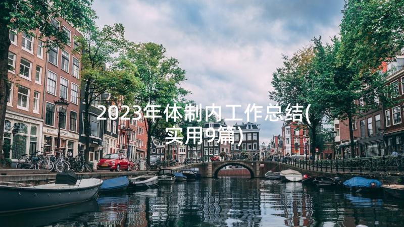 2023年体制内工作总结(实用9篇)