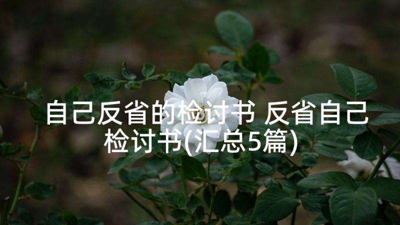 自己反省的检讨书 反省自己检讨书(汇总5篇)