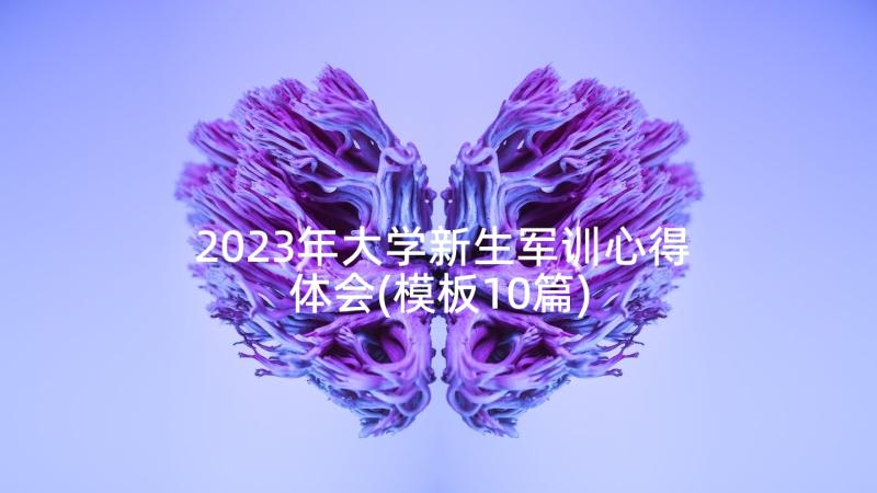 2023年大学新生军训心得体会(模板10篇)