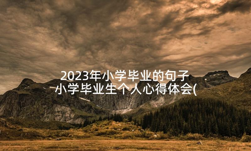 2023年小学毕业的句子 小学毕业生个人心得体会(精选9篇)