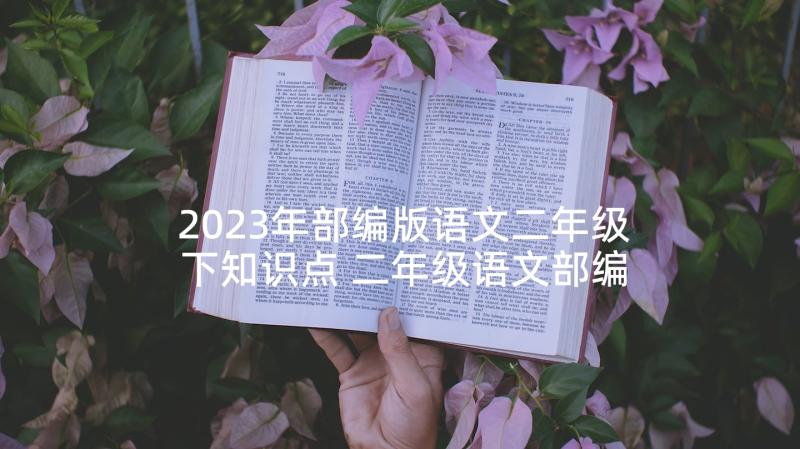 2023年部编版语文二年级下知识点 二年级语文部编版教案(通用6篇)