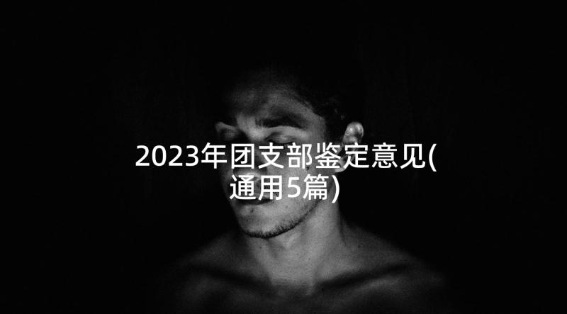 2023年团支部鉴定意见(通用5篇)