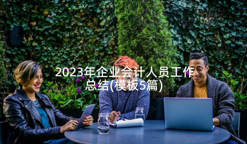 2023年企业会计人员工作总结(模板5篇)