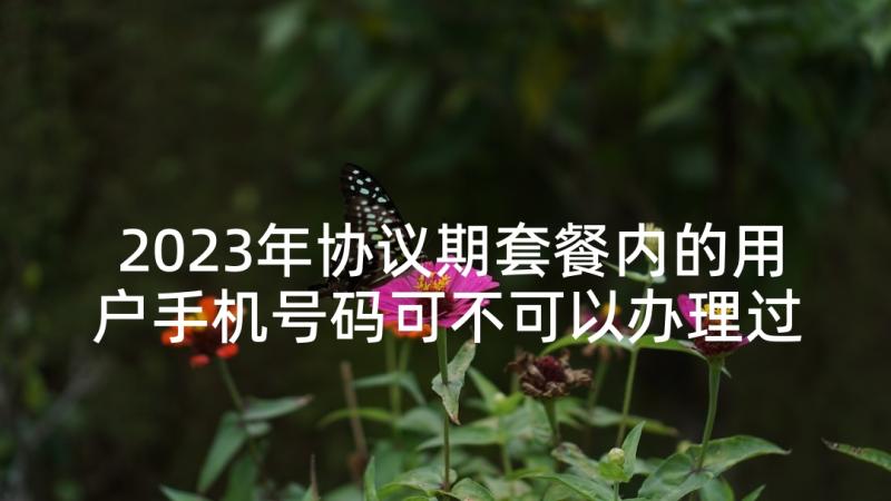 2023年协议期套餐内的用户手机号码可不可以办理过户手续(实用5篇)