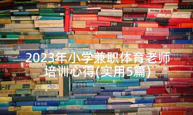 2023年小学兼职体育老师培训心得(实用5篇)