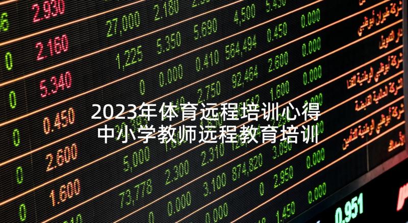 2023年体育远程培训心得 中小学教师远程教育培训总结(实用5篇)