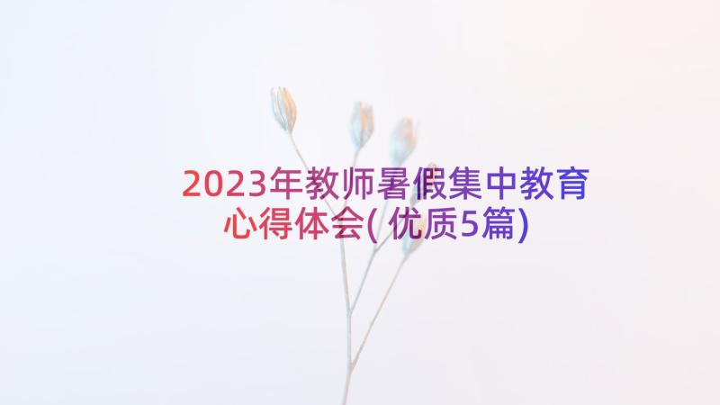2023年教师暑假集中教育心得体会(优质5篇)