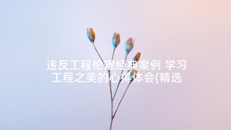 违反工程伦理经典案例 学习工程之美的心得体会(精选8篇)