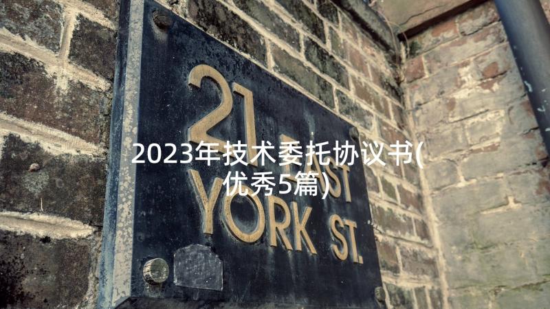 2023年技术委托协议书(优秀5篇)