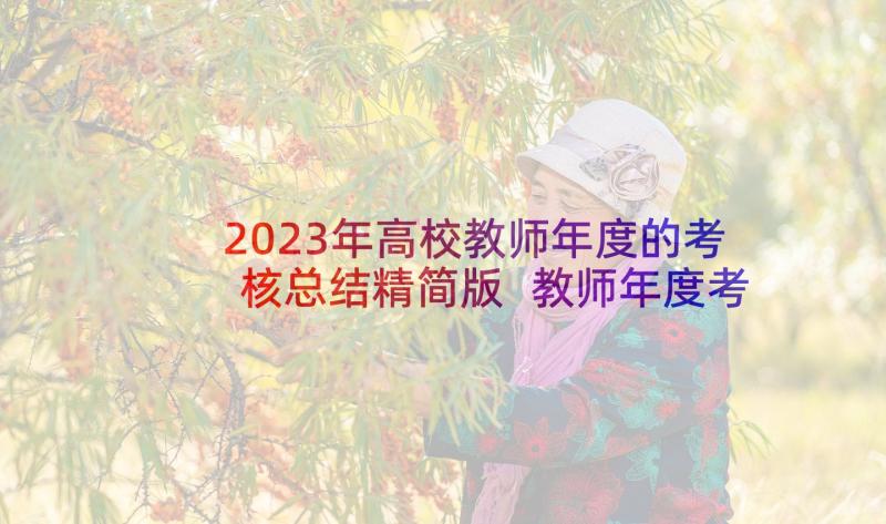 2023年高校教师年度的考核总结精简版 教师年度考核个人总结精简版(大全7篇)