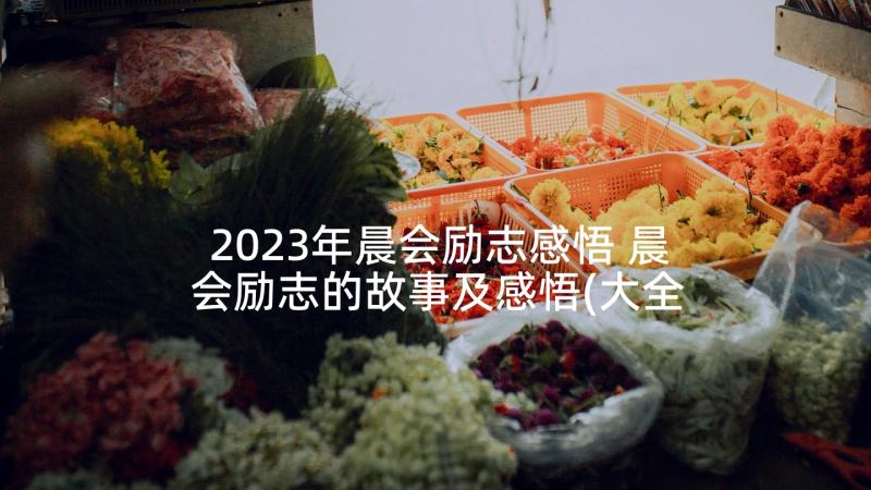 2023年晨会励志感悟 晨会励志的故事及感悟(大全5篇)