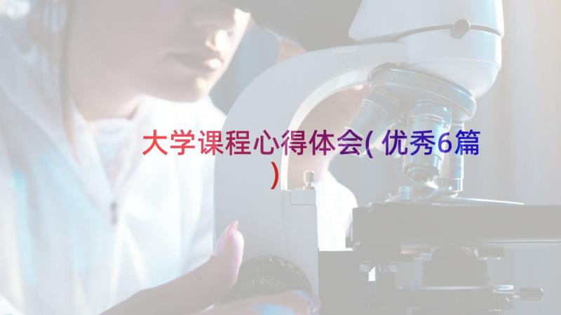 大学课程心得体会(优秀6篇)