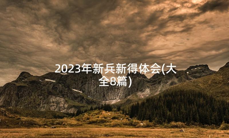 2023年新兵新得体会(大全8篇)